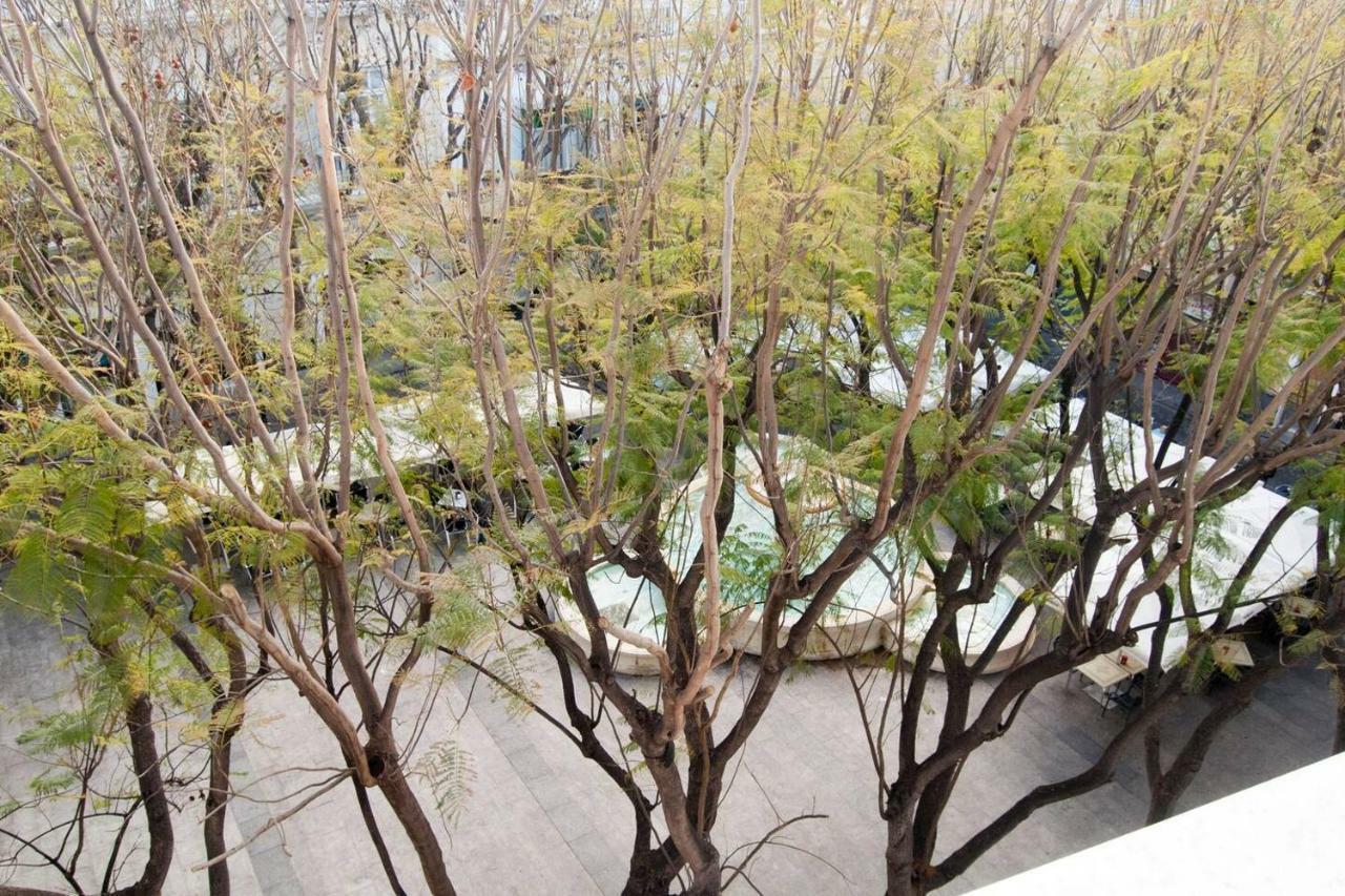 Apartmán El Mirador Del Mentidero Cádiz Exteriér fotografie